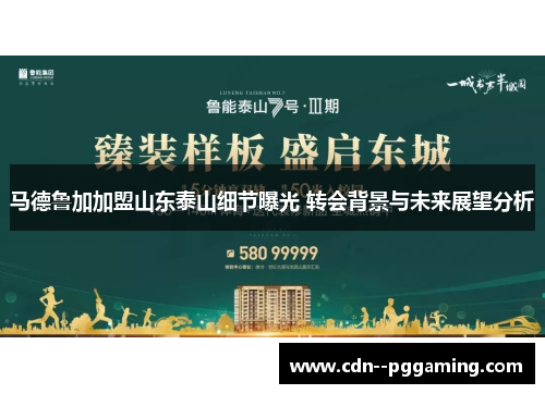 马德鲁加加盟山东泰山细节曝光 转会背景与未来展望分析