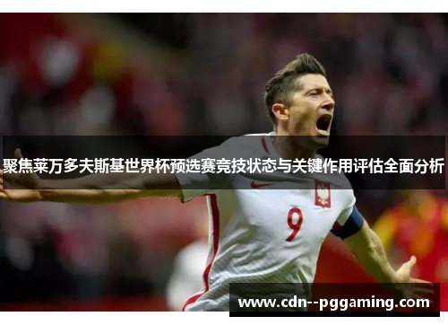 聚焦莱万多夫斯基世界杯预选赛竞技状态与关键作用评估全面分析